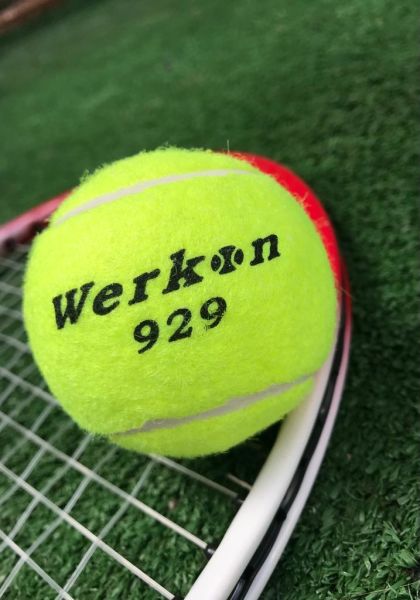 Werkon 3 Adet Antrenman Tenis Topu Sarı