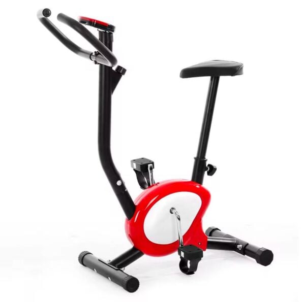 Dikey Kondisyon Bisikleti VL22