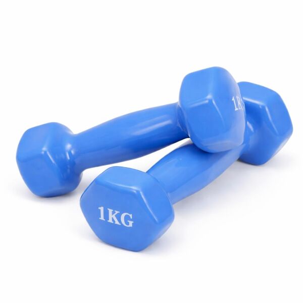 Leyaton Dambıl Pvc 1 Kg Vinly Dambıl 1 Adet Mavi