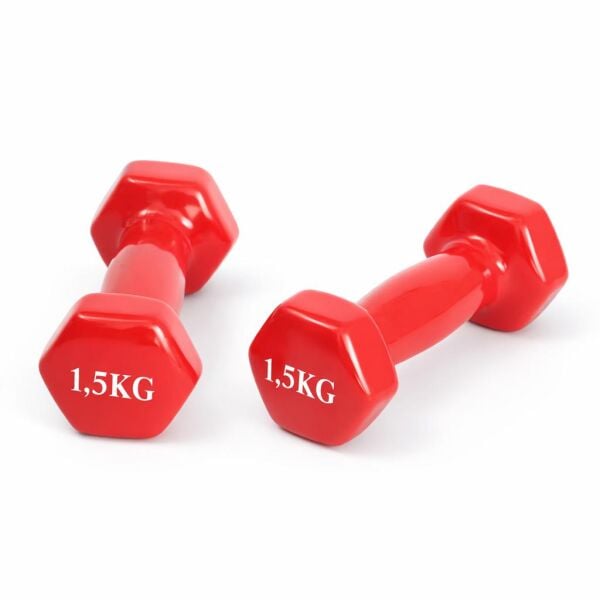 Leyaton Dambıl Pvc 1,5 Kg Vinly Dambıl 1 Adet Kırmızı