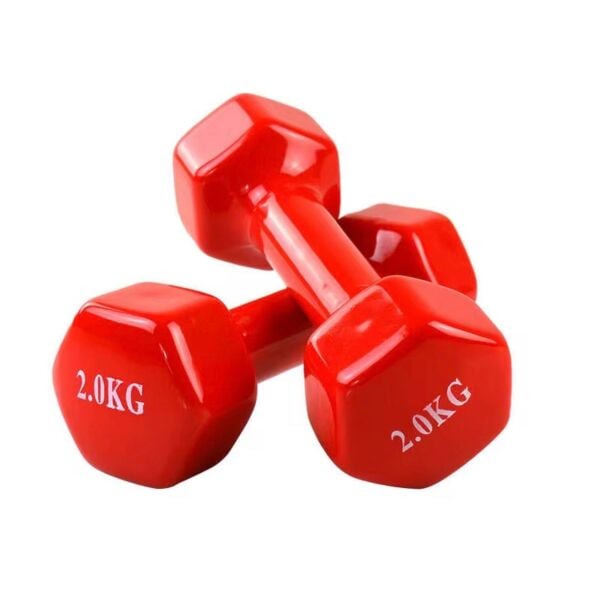Leyaton Dambıl Pvc 2 Kg Vinly Dambıl 1 Adet Kırmızı